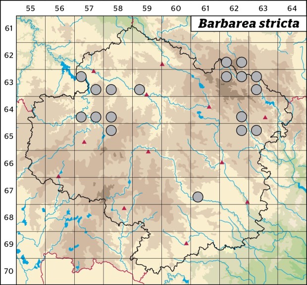 Mapa výskytu - barborka přitisklá - Barbarea stricta