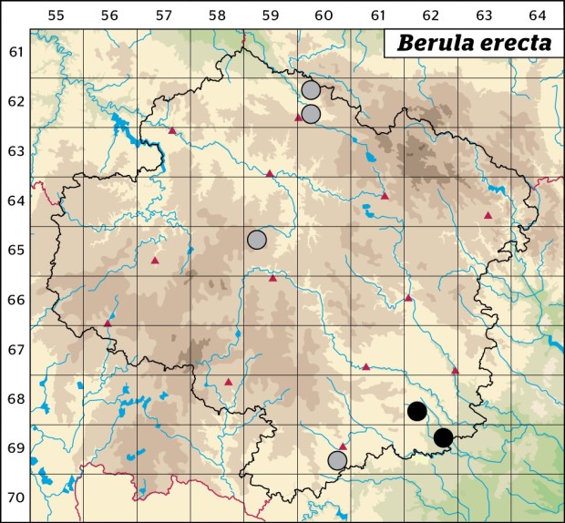 Mapa výskytu - potočník vzpřímený - Berula erecta