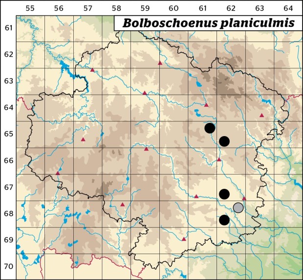 Mapa výskytu - kamyšník polní - Bolboschoenus planiculmis
