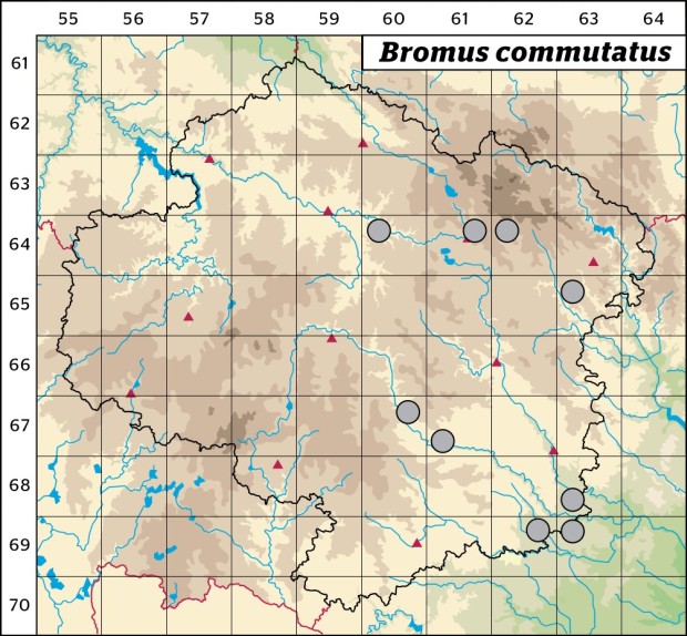 Mapa výskytu - sveřep luční - Bromus commutatus