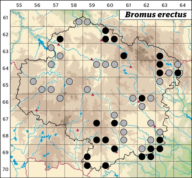 Mapa výskytu - sveřep vzpřímený - Bromus erectus