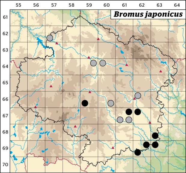 Mapa výskytu - sveřep japonský - Bromus japonicus
