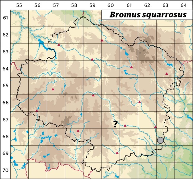 Mapa výskytu - sveřep kostrbatý - Bromus squarrosus