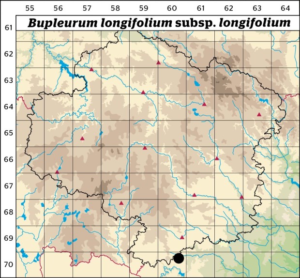 Mapa výskytu - prorostlík dlouholistý - Bupleurum longifolium