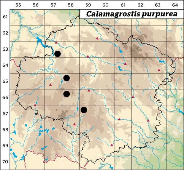 Mapa výskytu - třtina nachová - Calamagrostis purpurea