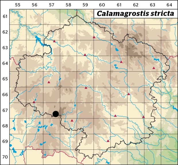 Mapa výskytu - třtina přehlížená - Calamagrostis stricta