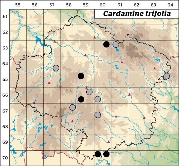 Mapa výskytu - řeřišnice trojlistá - Cardamine trifolia