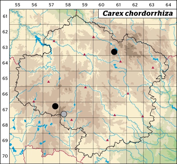 Mapa výskytu - ostřice šlahounovitá - Carex chordorrhiza