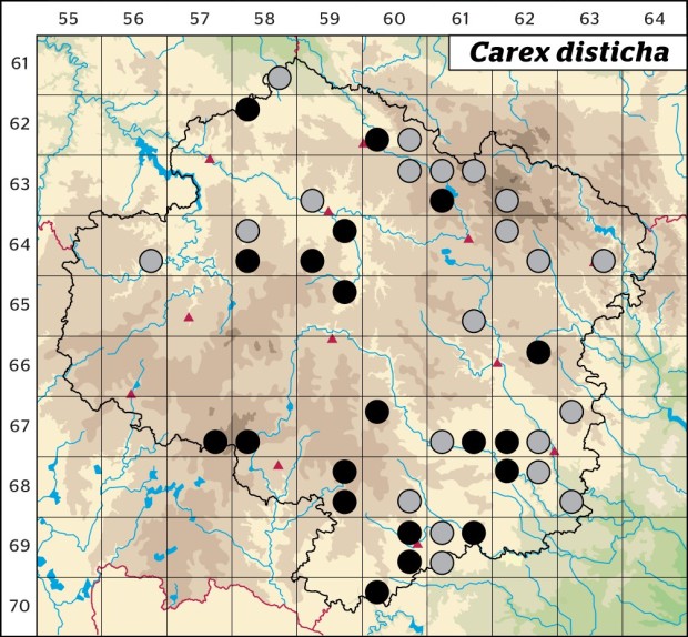 Mapa výskytu - ostřice dvouřadá - Carex disticha