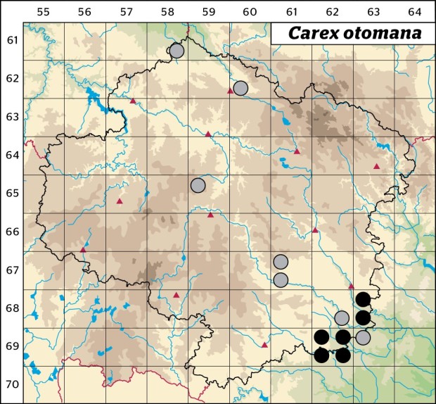 Mapa výskytu - ostřice chabertova - Carex otomana