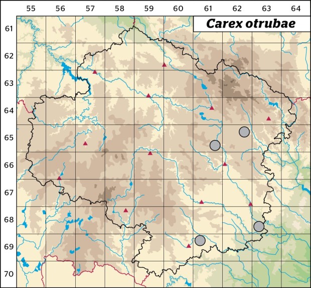 Mapa výskytu - ostřice Otrubova - Carex otrubae