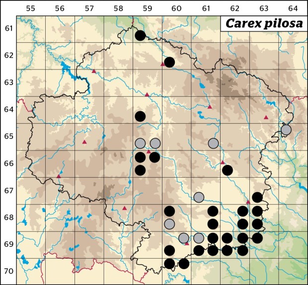 Mapa výskytu - ostřice chlupatá - Carex pilosa