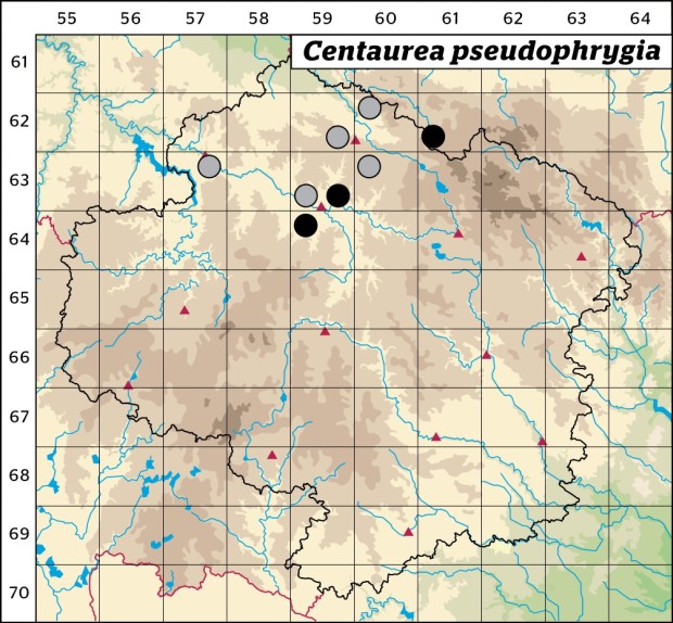 Mapa výskytu - chrpa parukářka - Centaurea pseudophrygia