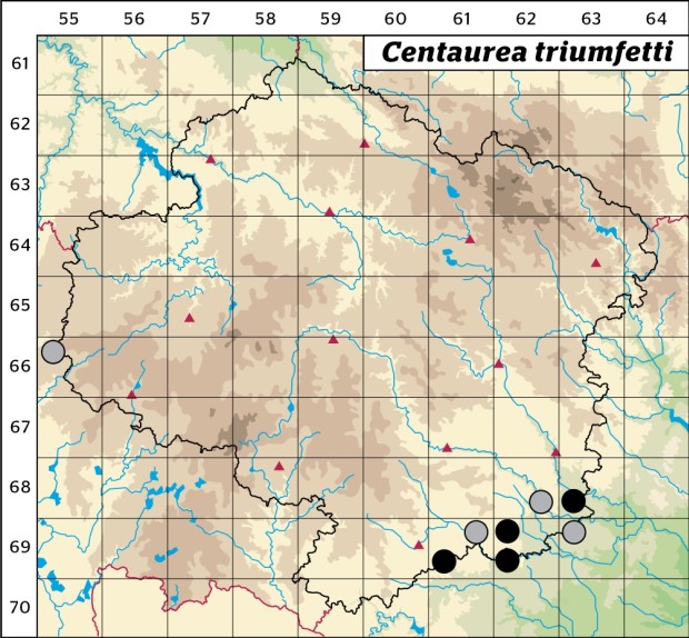 Mapa výskytu - chrpa chlumní - Centaurea triumfetti