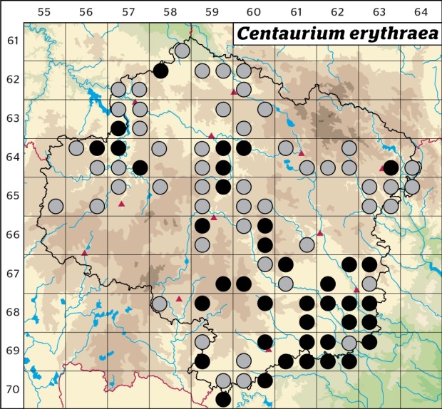 Mapa výskytu - zeměžluč okolíkatá - Centaurium erythraea