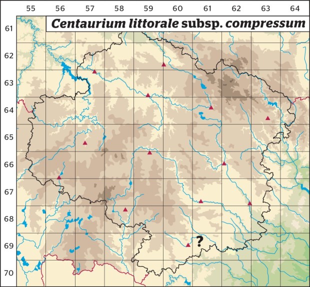 Mapa výskytu - zeměžluč přímořská slatinná - Centaurium littorale subsp. compressum
