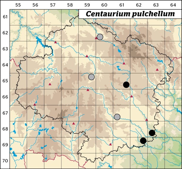 Mapa výskytu - zeměžluč spanilá - Centaurium pulchellum