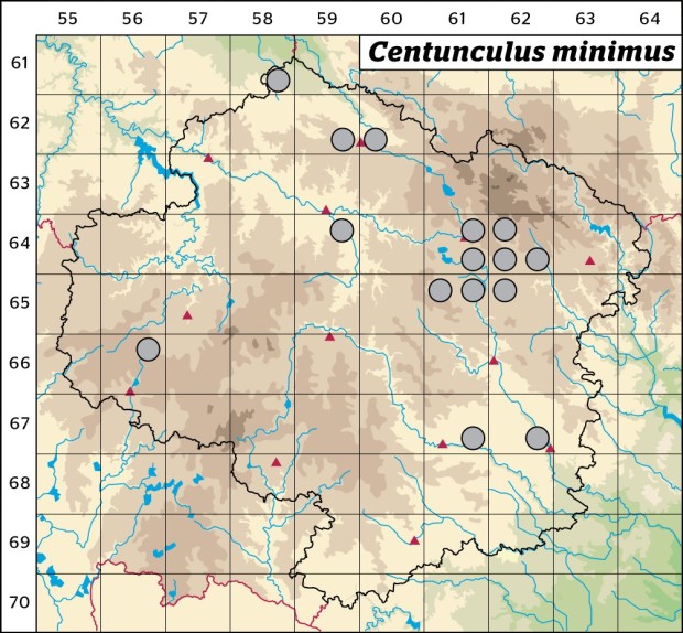 Mapa výskytu - drobýšek nejmenší - Centunculus minimus