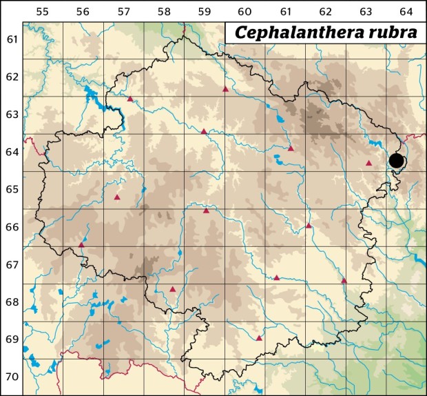 Mapa výskytu - okrotice červená - Cephalanthera rubra