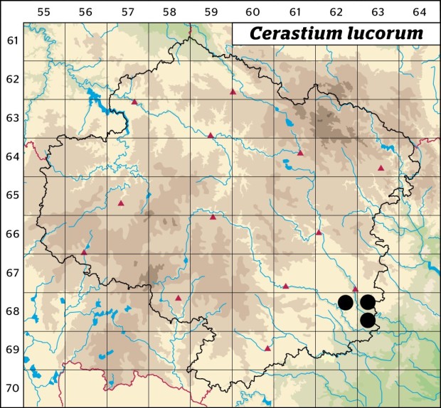 Mapa výskytu - rožec hajní - Cerastium lucorum