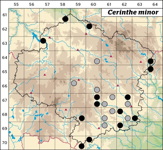 Mapa výskytu - voskovka menší - Cerinthe minor