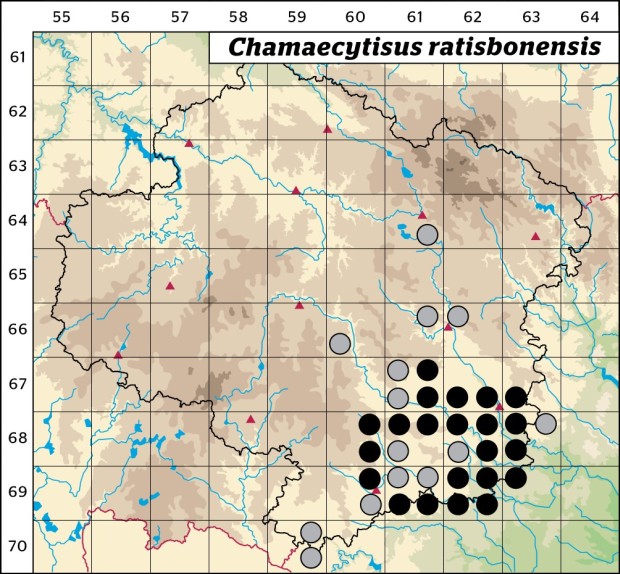 Mapa výskytu - čilimník řezenský - Chamaecytisus ratisbonensis