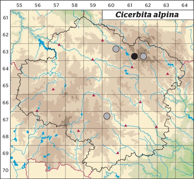 Mapa výskytu - mléčivec alpský - Cicerbita alpina