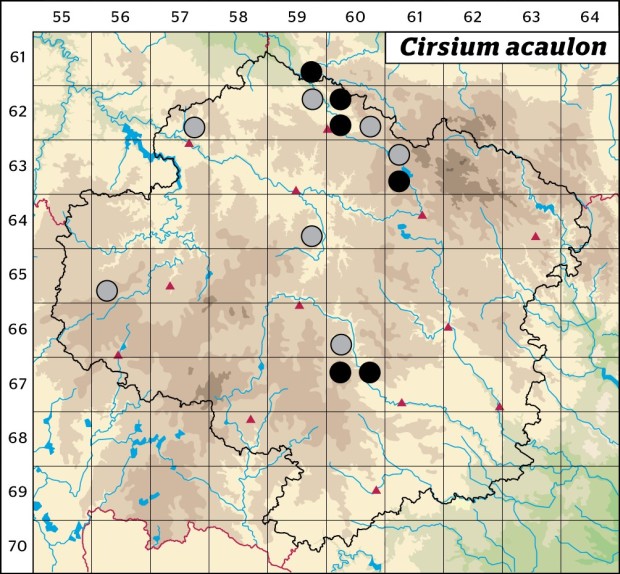 Mapa výskytu - pcháč bezlodyžný - Cirsium acaulon