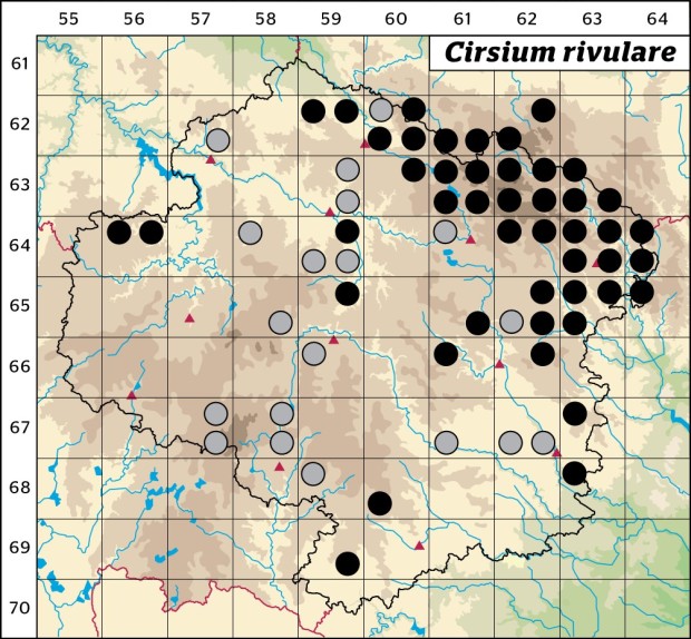 Mapa výskytu - pcháč potoční - Cirsium rivulare