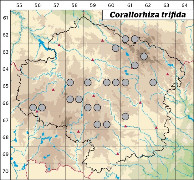 Mapa výskytu - korálice trojklaná - Corallorhiza trifida