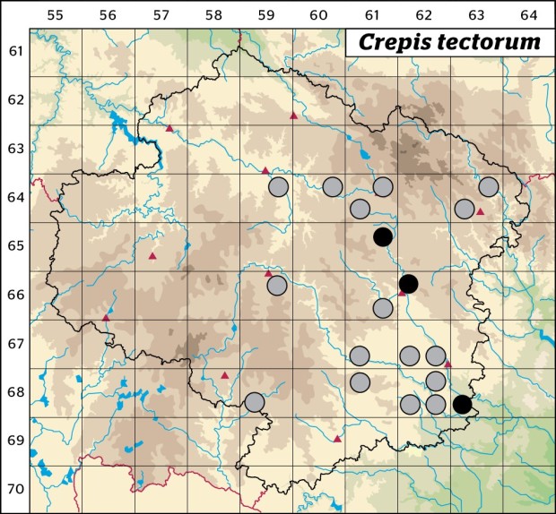 Mapa výskytu - škarda střešní - Crepis tectorum