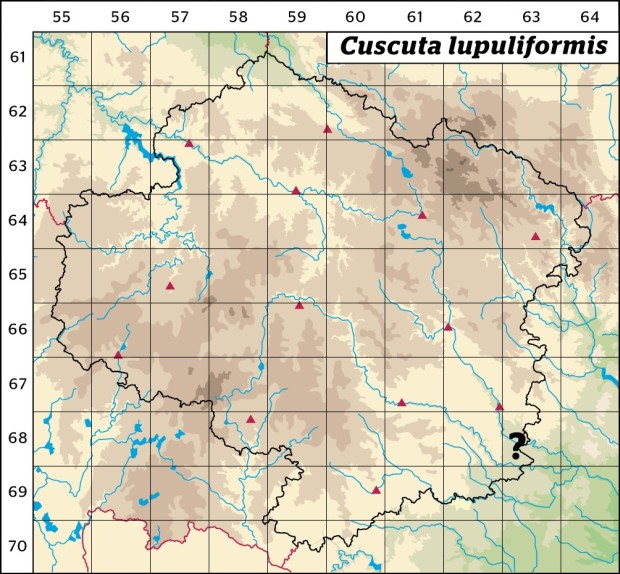 Mapa výskytu - kokotice chmelová - Cuscuta lupuliformis