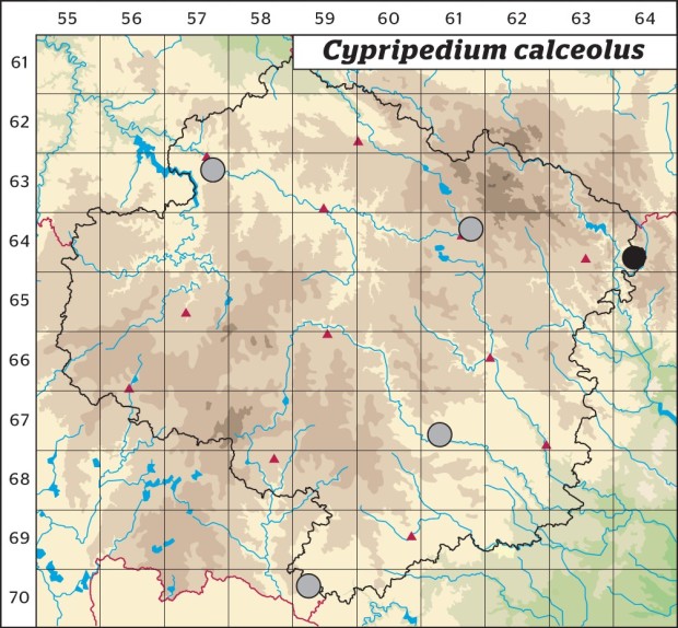 Mapa výskytu - střevíčník pantoflíček - Cypripedium calceolus