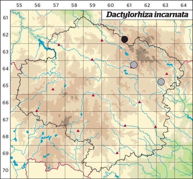 Mapa výskytu - prstnatec pleťový - Dactylorhiza incarnata