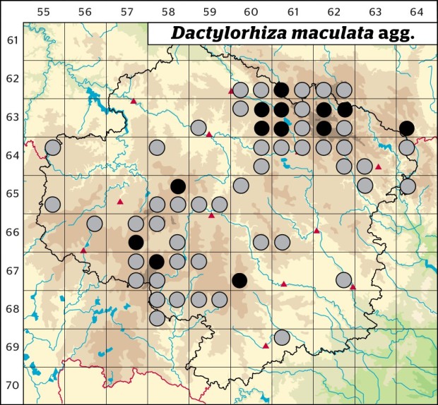 Mapa výskytu - prstnatec plamatý - Dactylorhiza maculata agg.