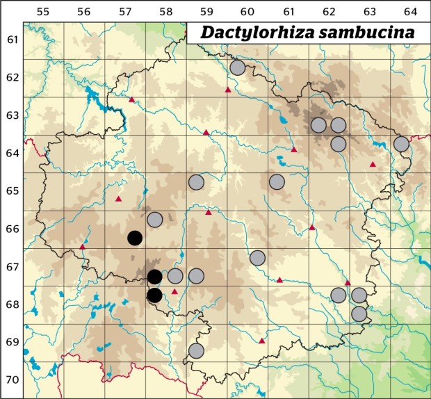 Mapa výskytu - prstnatec bezový - Dactylorhiza sambucina