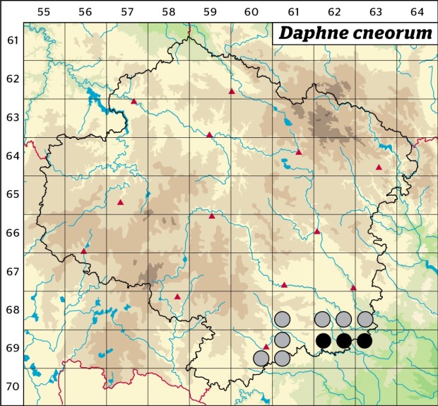 Mapa výskytu - lýkovec vonný - Daphne cneorum