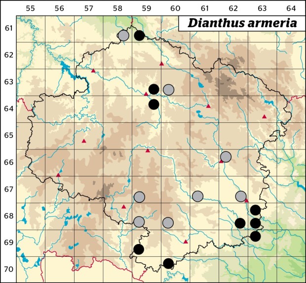 Mapa výskytu - hvozdík svazčitý - Dianthus armeria