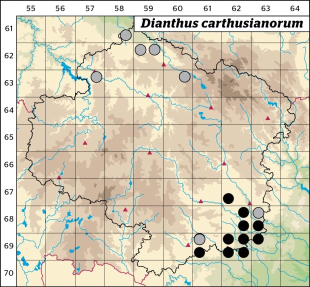 Mapa výskytu - hvozdík kartouzek - Dianthus carthusianorum