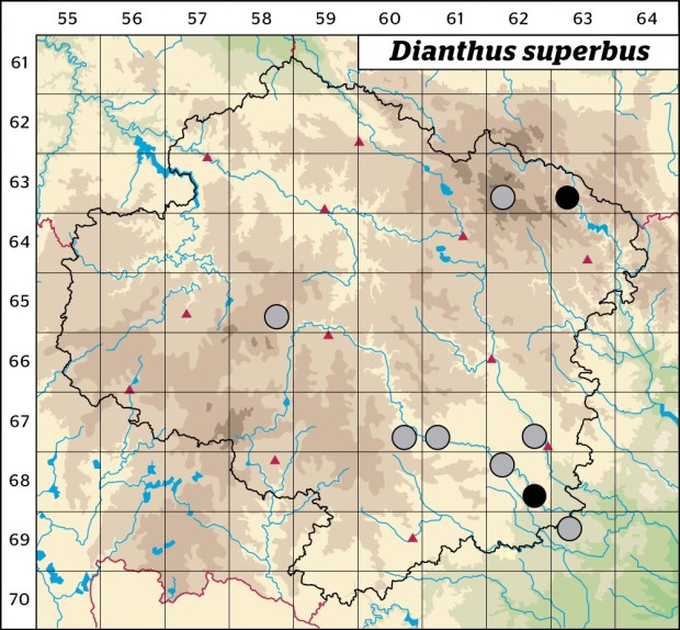 Mapa výskytu - hvozdík pyšný - Dianthus superbus