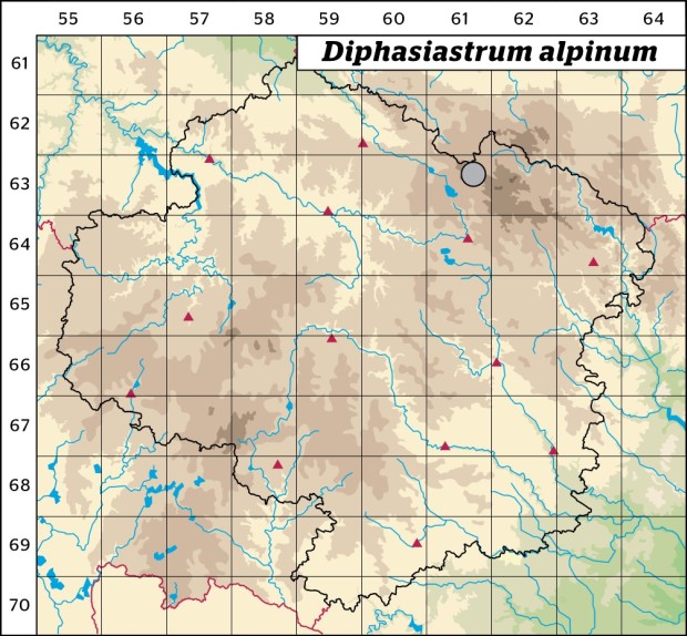 Mapa výskytu - plavuník alpínský - Diphasiastrum alpinum