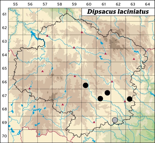 Mapa výskytu - štětka laločnatá - Dipsacus laciniatus