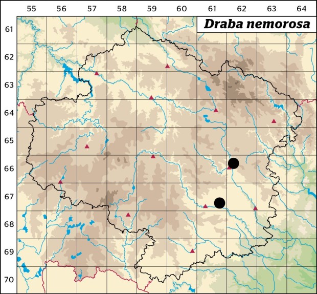 Mapa výskytu - chudina hajní - Draba nemorosa