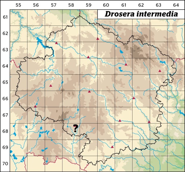 Mapa výskytu - rosnatka prostřední - Drosera intermedia