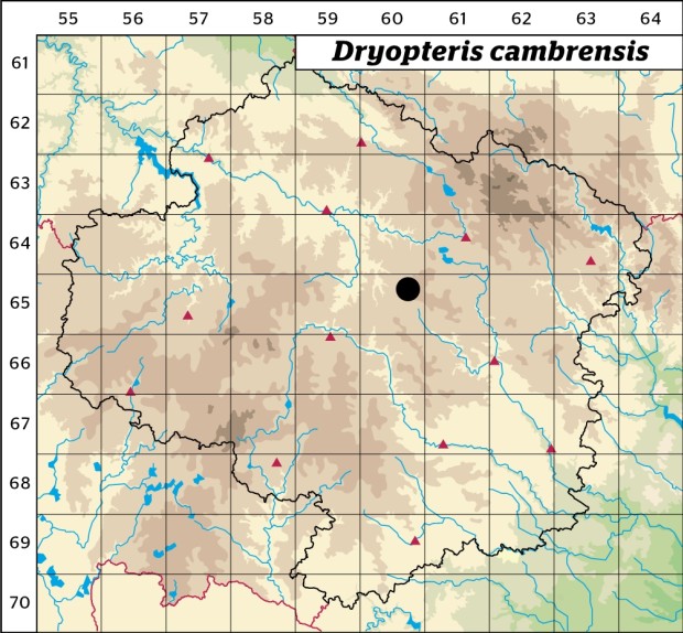 Mapa výskytu - kapraď plevinatá - Dryopteris cambrensis