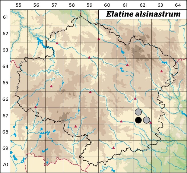 Mapa výskytu - úpor kuřičkovitý - Elatine alsinastrum