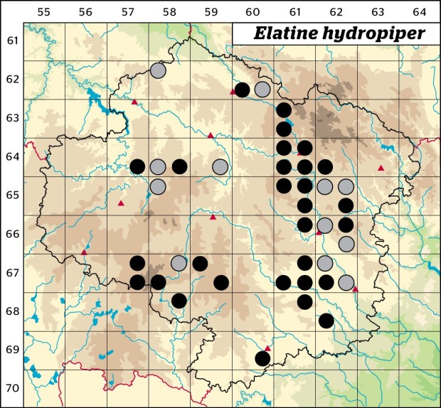 Mapa výskytu - úpor peprný - Elatine hydropiper