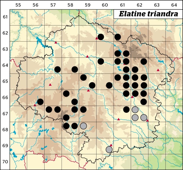 Mapa výskytu - úpor trojmužný - Elatine triandra