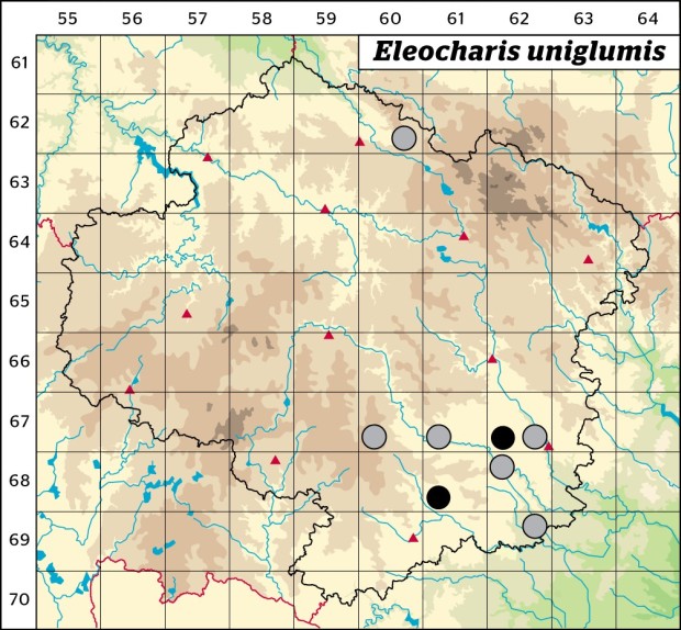 Mapa výskytu - bahnička jednoplevá - Eleocharis uniglumis