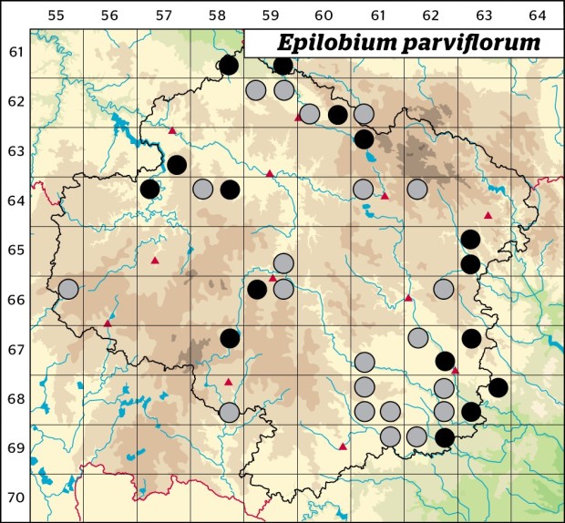 Mapa výskytu - vrbovka malokvětá - Epilobium parviflorum
